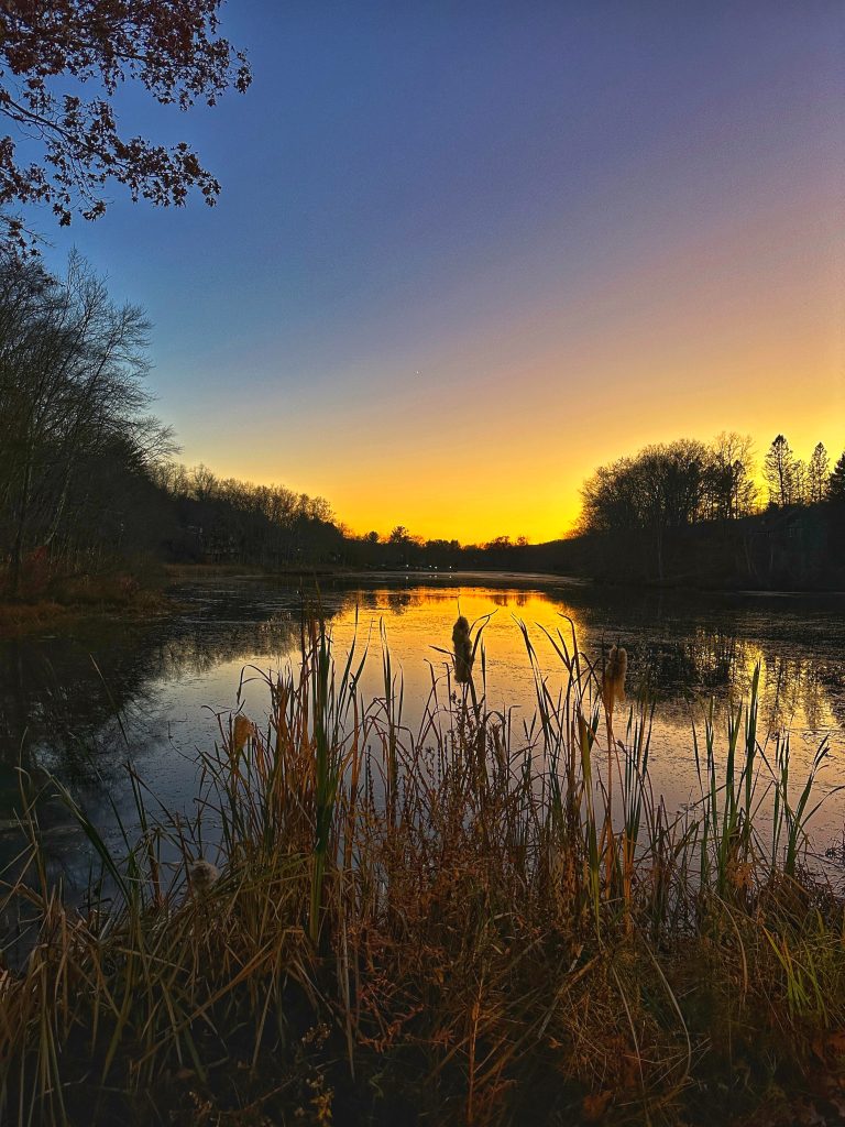 Sunset over Pond