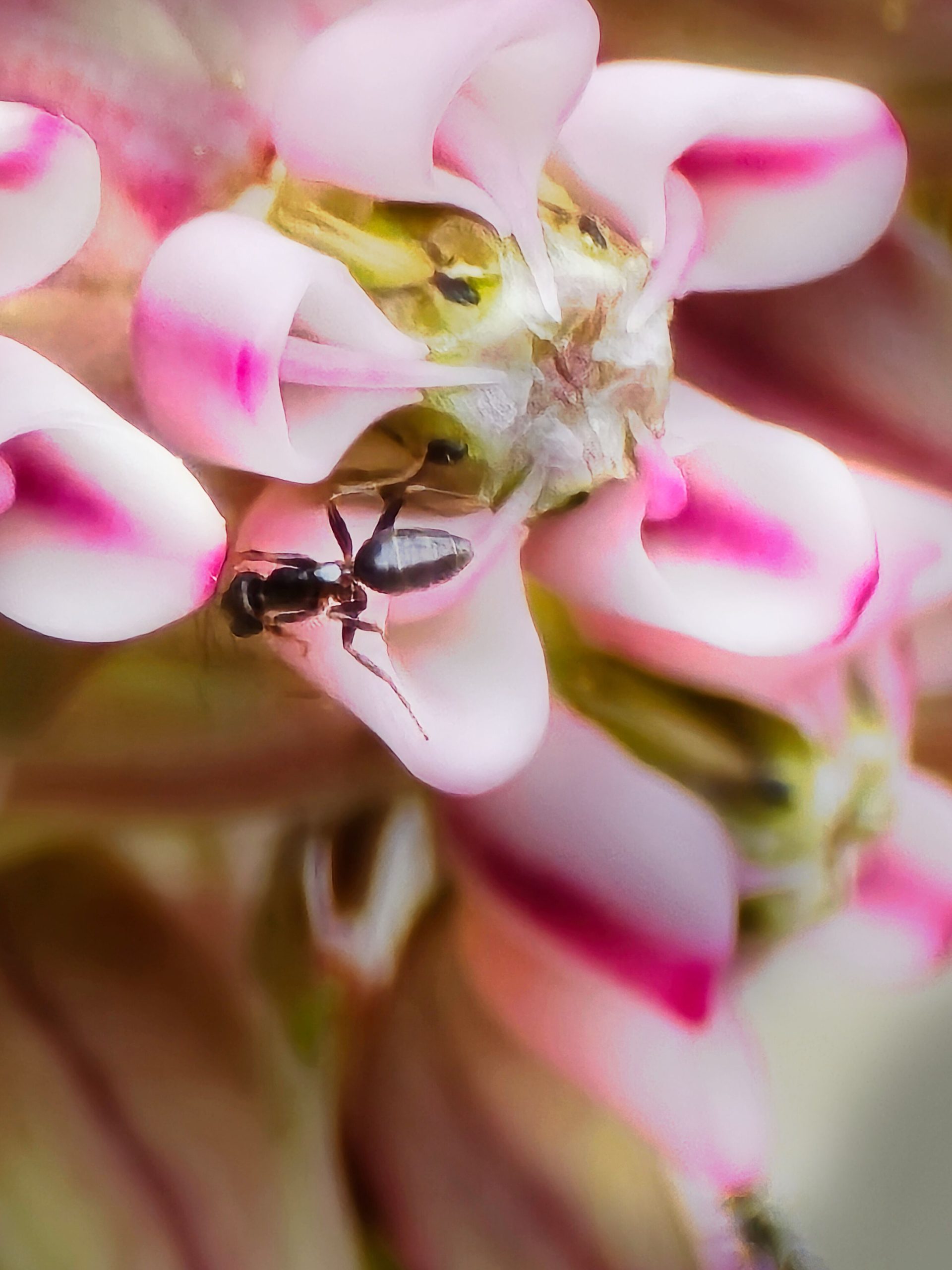 "We Feed the World" series - Part 2