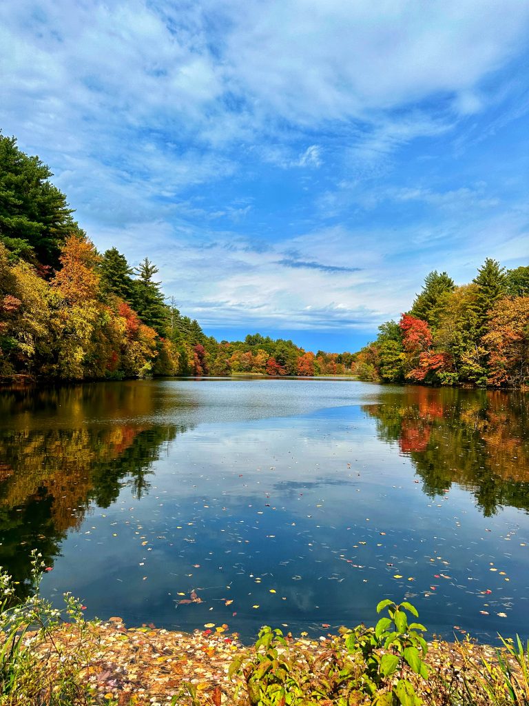 Autumn