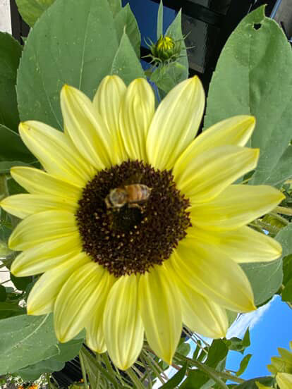 Ff c447fb42b3d0d195e743a0d8049b0580 ff 0b5e078b f1cb 4352 91ba 214f9d35ae03 1