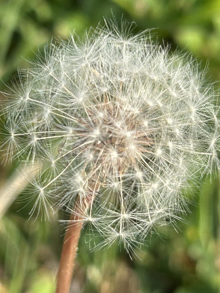 Ff cc1b20d73398ef8e2ca72bf4128c24ff ff img 5458