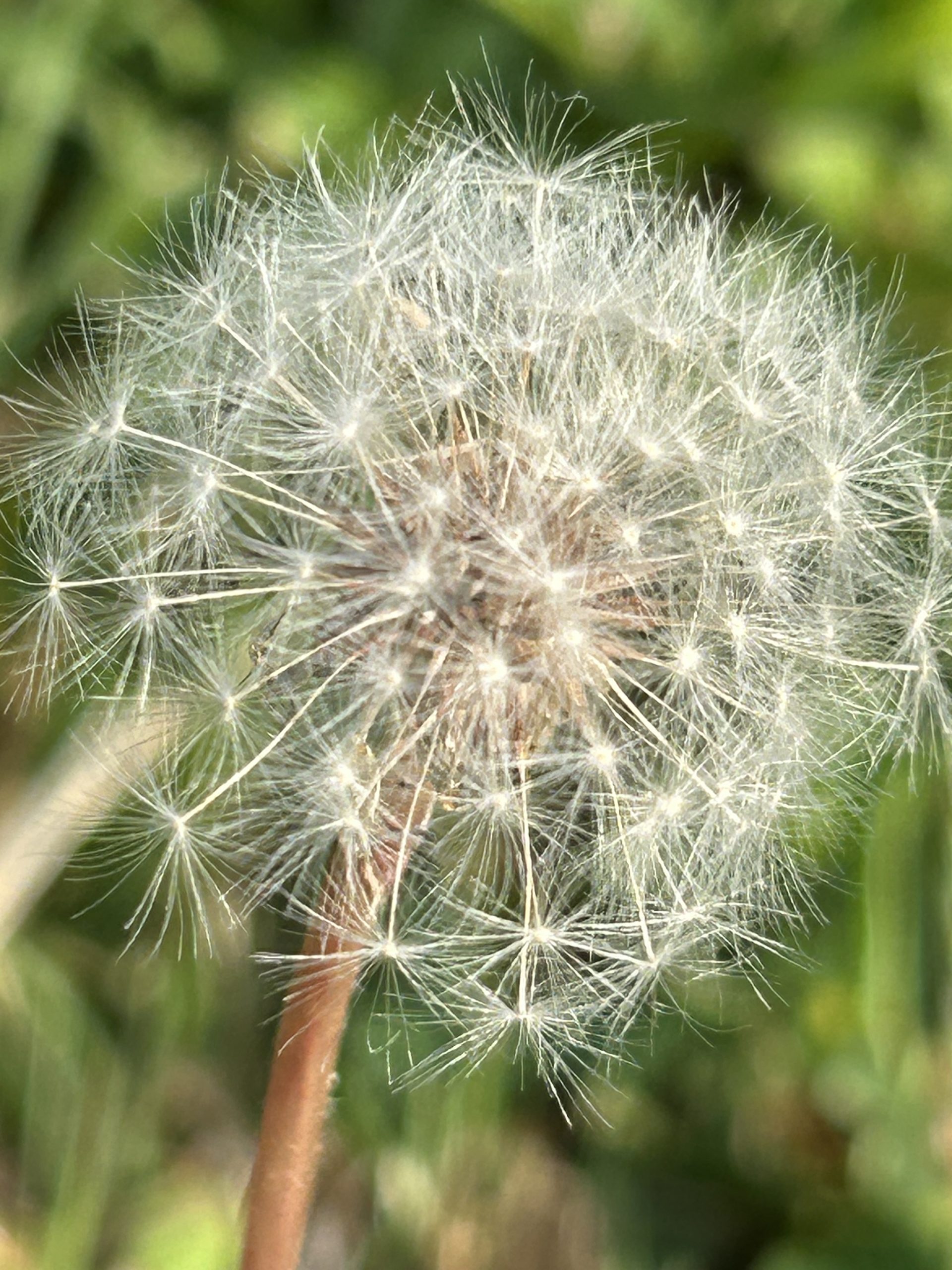 Ff cc1b20d73398ef8e2ca72bf4128c24ff ff img 5458