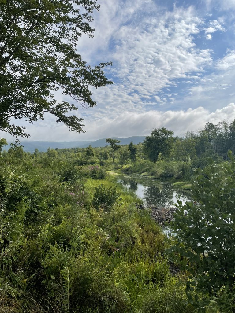 Harlem Valley Rail Trail